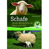 Schafe: Ideale Weidetiere an Haus und Hofvon "Dorothee Dahl"