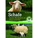 Schafe: Ideale Weidetiere an Haus und Hof