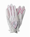 �u���a�X�g�����f�B�X�S���t�O���[�uGLTV72�u����p�v (��/�s���N�A18cm)