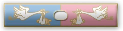Blue/Pink Stork Delivery Bar With Cutout