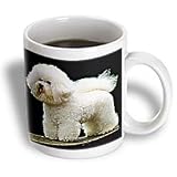Dogs Bichon Frise - Bichon Frise - Mugs