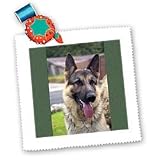 Dogs German Shepherd - German Shepherd Portrait - Quilt Squares