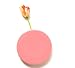 Chive Wall Dot Pink Vase
