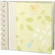 Little Birdie Green Baby's First Book