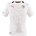 Bild: PUMA Herren Trikot Africa Home Replica Senegal