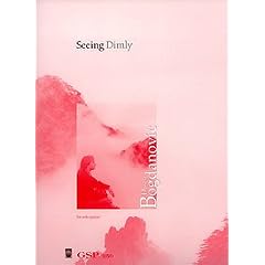 Seeing Dimly