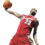 Upper Deck Cleveland Cavaliers - Lebron James NBA Wall Stars