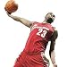 Tools & Hardware : Upper Deck Cleveland Cavaliers - Lebron James NBA Wall Stars