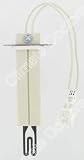 Rheem Ruud 62-22669-92 Drum Furnace HSI Igniter NEW