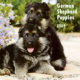 German Shepherd Puppies 2009 Calendar, 12x12