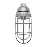 IMAGE OF RAB Lighting Vaporproof Outdoor Pendant
