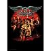Aerosmith ~ #223 ~ Poster Flags ~ Approx 30 X 40 Inches