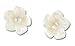 White Mother of Pearl Flower Stuf Earrings