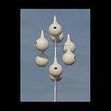 Aluminum 13.5' Purple Martin Gourd Pole Kit - 8 Piece Double Spiral Design