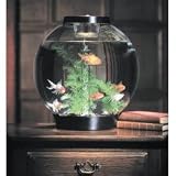 biOrb Black Aquarium Kit with Light