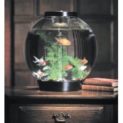 biOrb Black Aquarium Kit with Light
