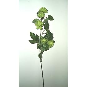 Artificial Silk Hop Flower Spray - 70cm, Green