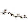Sienna K6624E13 Halloween Spider Garland Light Set 9 Feet Long with 50 Orange Lights