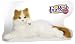 Search : Fur Real Lulu My Cuddlin Kitty White