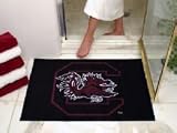 34 x 44 1/2 South Carolina Gamecocks All Star Floor Mat