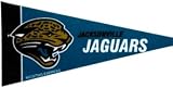 Jacksonville Jaguars NFL Mini Pennants - 8 Piece Set