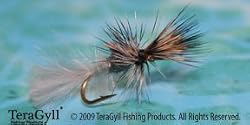 Mayfly Cripple Callibaetis