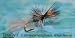 Mayfly Cripple Callibaetis
