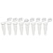 BrandTech 781332 Plastic 0.2mL PCR 8-Tube Strip with Individual Attached Flat Cap, Clear (Pack of 120)