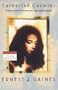 Catherine Carmier: A novel (Catherine Carmier Ppr)