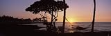 Hammock on the Beach at Sunset, Fairmont Orchid, Hawaii, USA Photographic Poster Print by Panoramic Images, 42x14