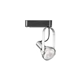 IMAGE OF WAC Lighting PAR Metal Halide HID Track Head