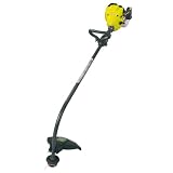 Weed Eater 17-inch 25 cc Twist N Edge Gas Trimmer #TE475Y (A) by Weed Eater