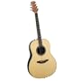 Applause by Ovation AA21-4 Acoustic Guitar
