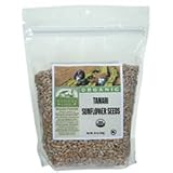Woodstock Sunflower Seeds Organic Tamari 16 oz. (Pack of 8)