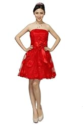 Organza Cocktail Sheer Bridesmaid Dress/Party Dress/Mini Dress 