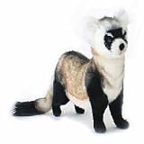 BLACK FOOTED FERRET PLUSH TOY 15" L