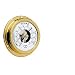 Visible Movement Brass Barometer