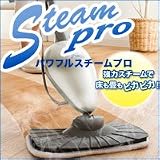 �p���t���X�`�[���v��