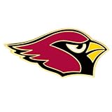 Arizona Cardinals Official Logo Lapel Pin