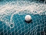 50 X 9 Fish Net Great for Golf Chip Shots,fishing,weddings