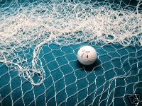 50 X 9 Fishing Net, Fish Nets, Netting Great for Golf Chip Shots, fishing, weddings