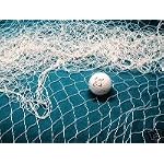 50 X 9 Fish Net Great for Golf Chip Shots,fishing,weddings