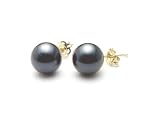 AAA Quality Round 6-6.5mm Akoya SaltWater cultured Black Pearl Earrings with 14K Yellow Gold Mount