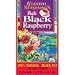 Bali Black Raspberry Black Tea 20 bags