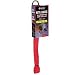 Sporting Goods : NITE DAWG LED Light Up Dog Collar - Orange - SMALL - Electronics - Other