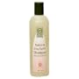 Desert Essence Shampoo, Hydrating Shea Butter, 12-Ounces (Pack of 2)