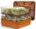 Tompson & Morgan Seed Sprouter - Two-tiered