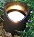 Best Pro Lighting Low Voltage Landscape Well Lights with 35W Bulb (200)