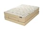 Adjustables Sillhouette Queen Adjustable Base with Plush Mattress