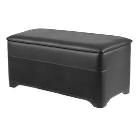 Winsome Wood Ashford Storage Bench